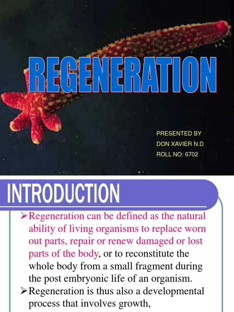 Regeneration Regeneration (Biology) Developmental Biology