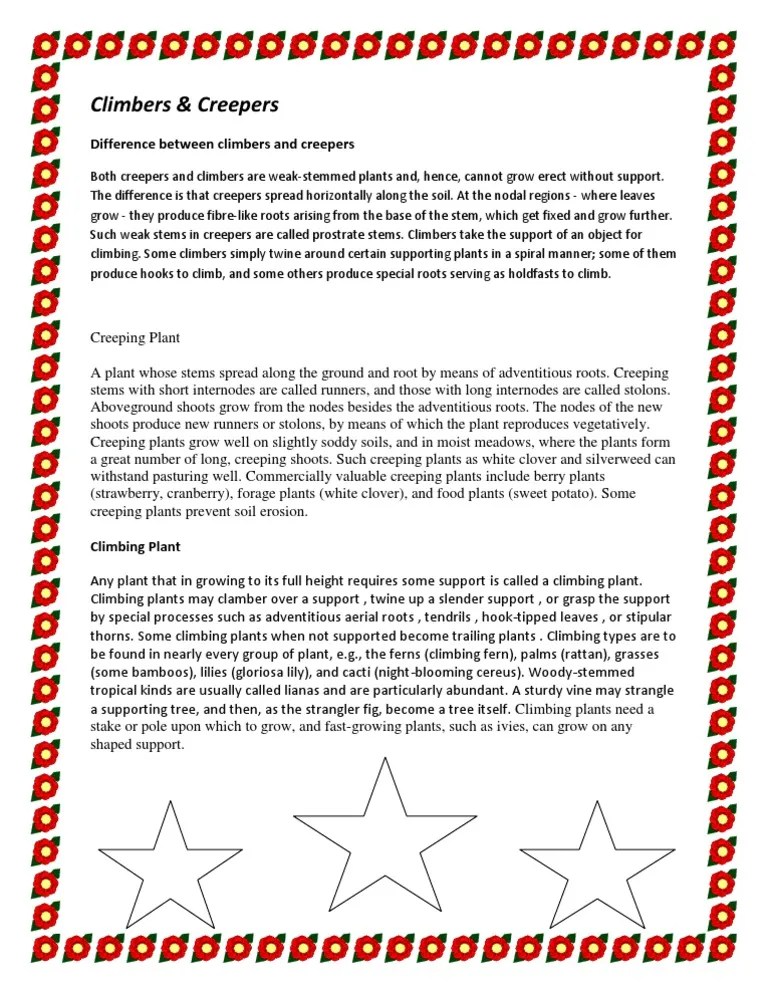 Difference Between Climbers and Creepers