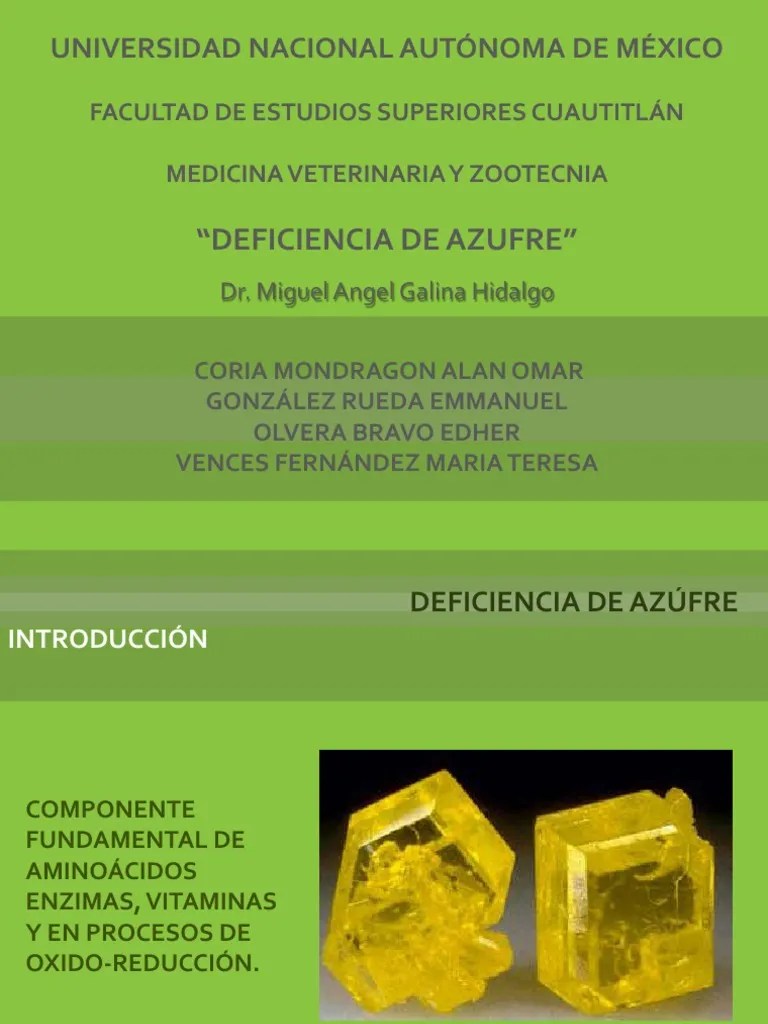 Deficiencia de Azufre Rumiante Proteínas