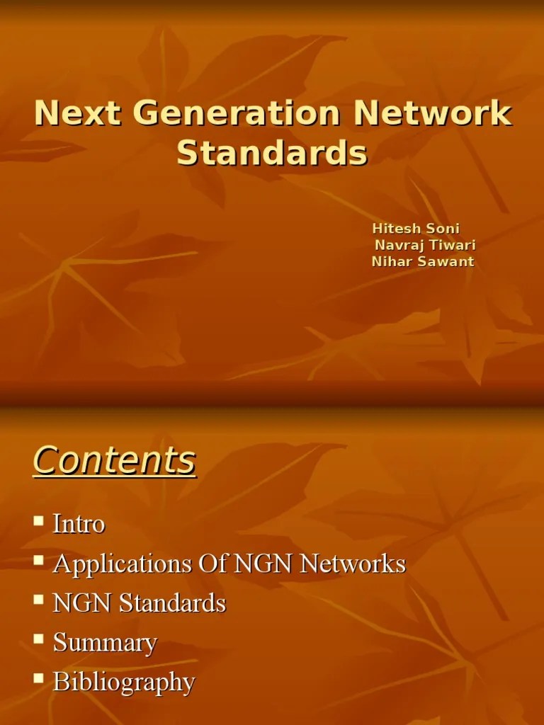 Next Generation Network Standards PDF Access Wireless Lan