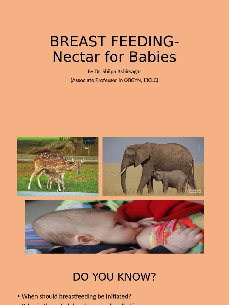 Essential Guide To Breastfeeding Benefits Pdf Breastfeeding