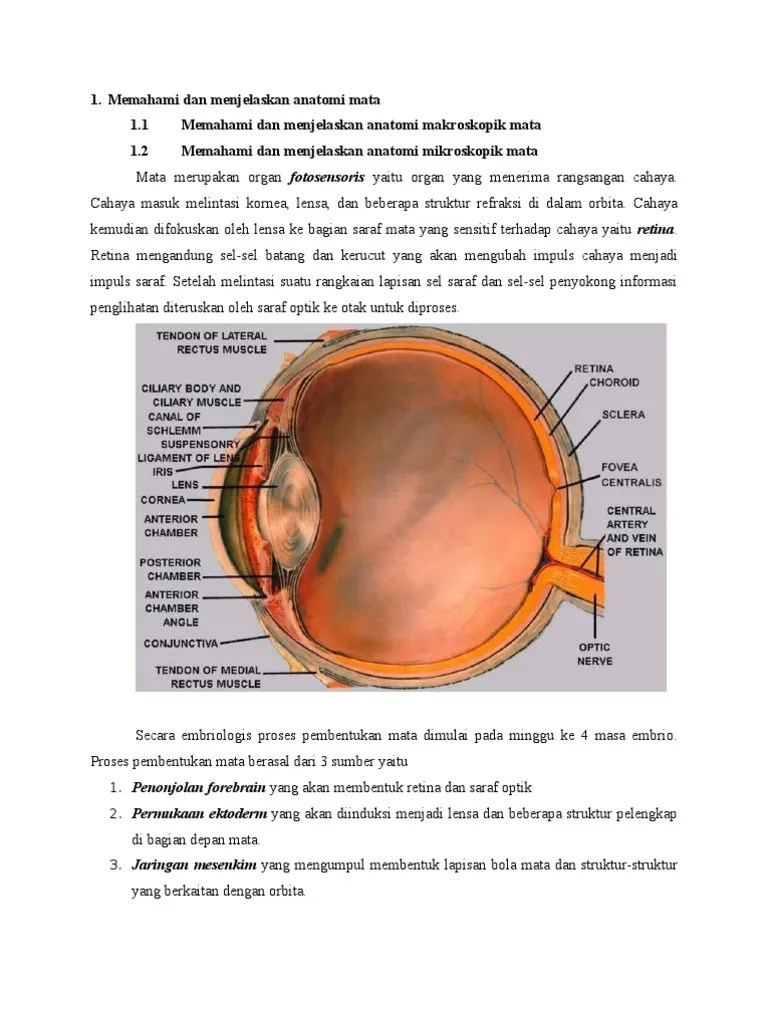 SK1 Mata Merah | PDF