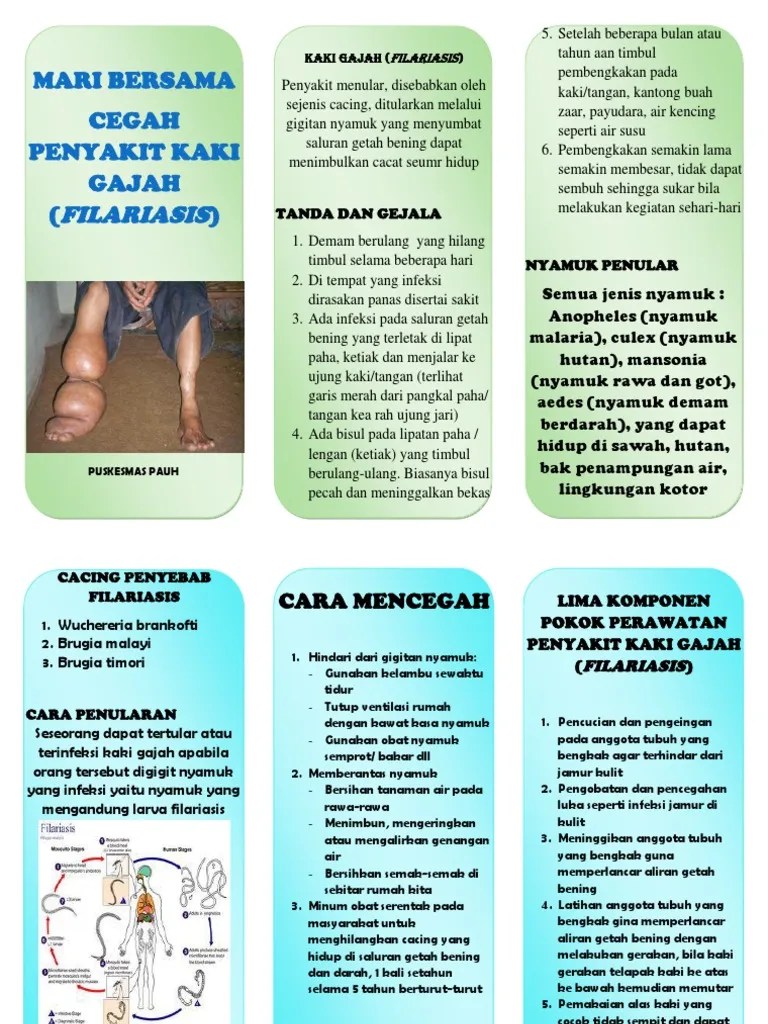 Leaflet Kaki Gajah