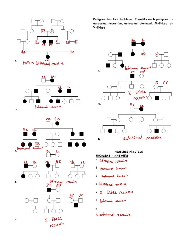 Pedigree Practice Problems | PDF