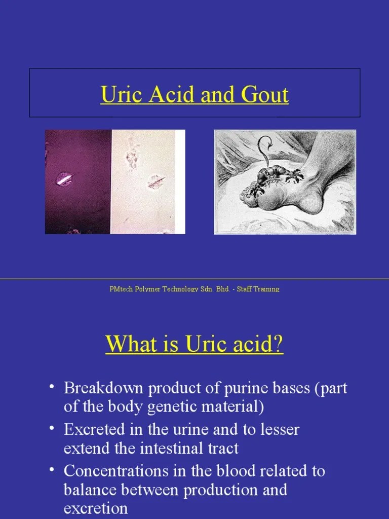 Presentation Uric Acid Gout Rtt