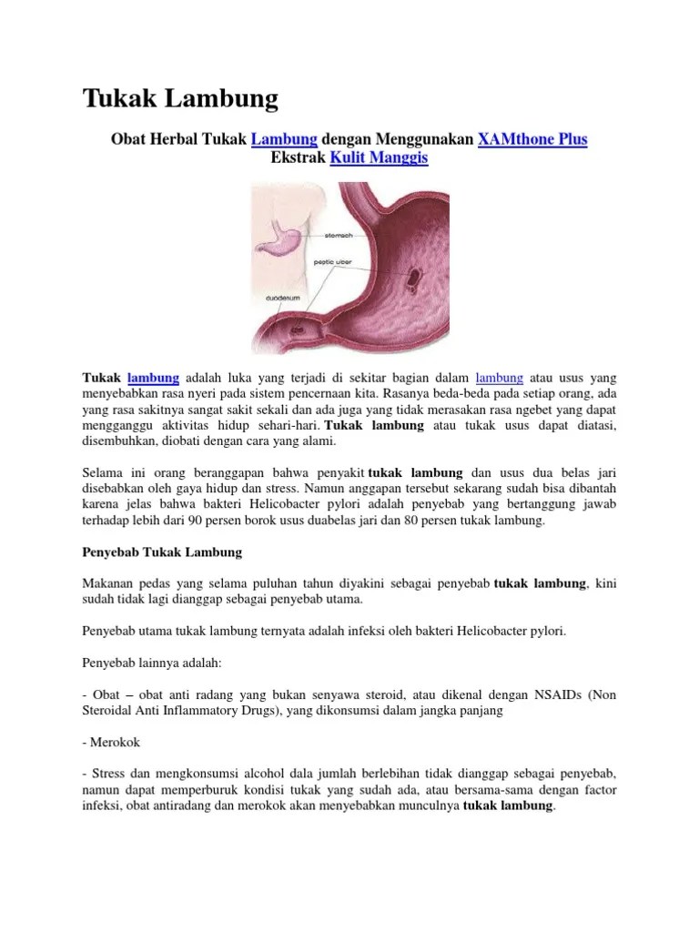Tukak Lambung | PDF