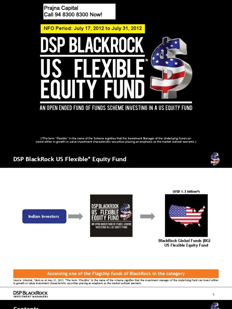 DSP BlackRock US Flexible Equity Fund NFO Presentation Mutual Funds