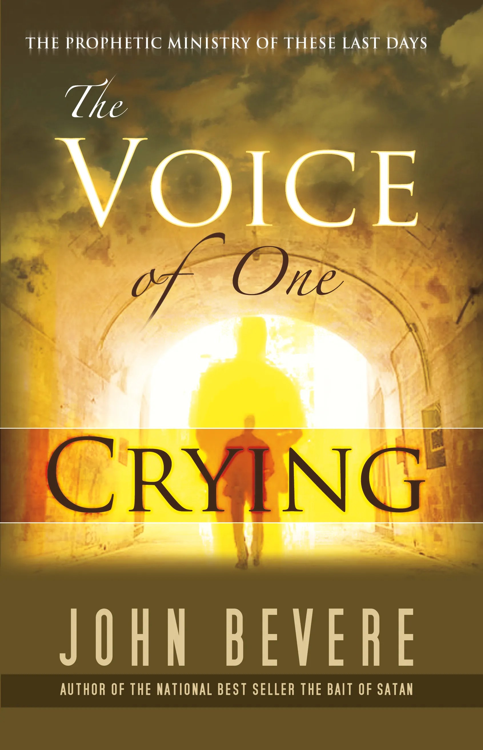Voice of One Crying by John Bevere Book Read Online