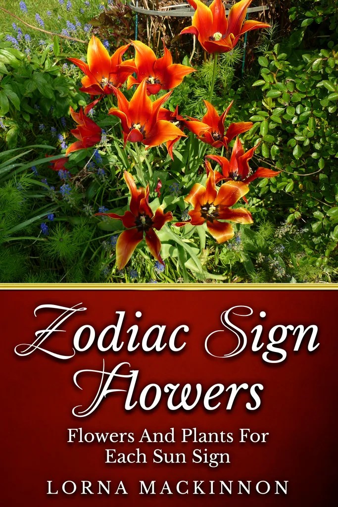Zodiac Sign Flowers Flowers And Plants For Each Sun Sign by Lorna