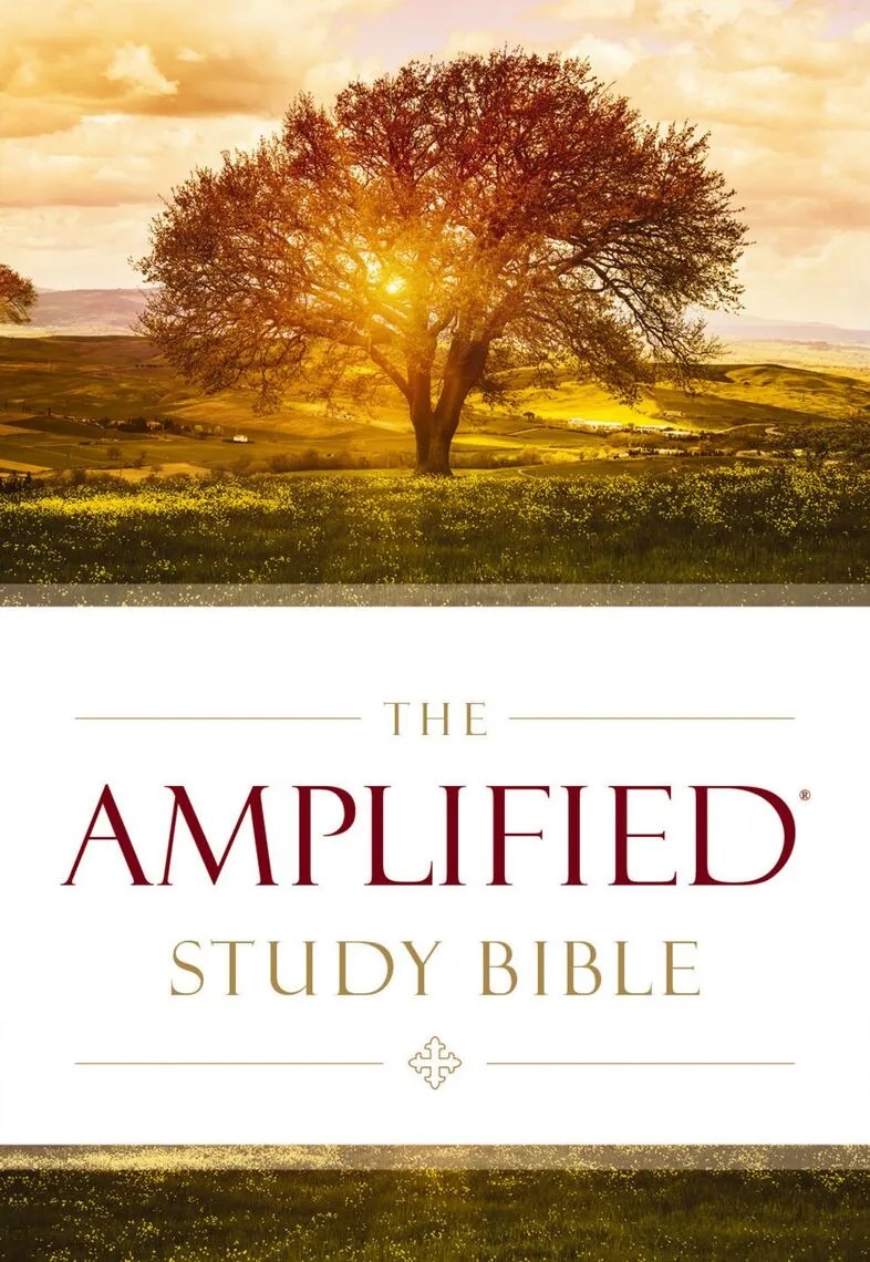 Read The Amplified Study Bible Online by Zondervan Books