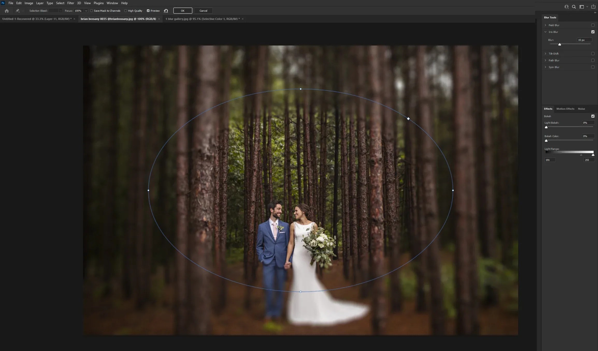 How to Blur Part of a Picture 4 Easiest Ways for Beginner in 2023 Fotor