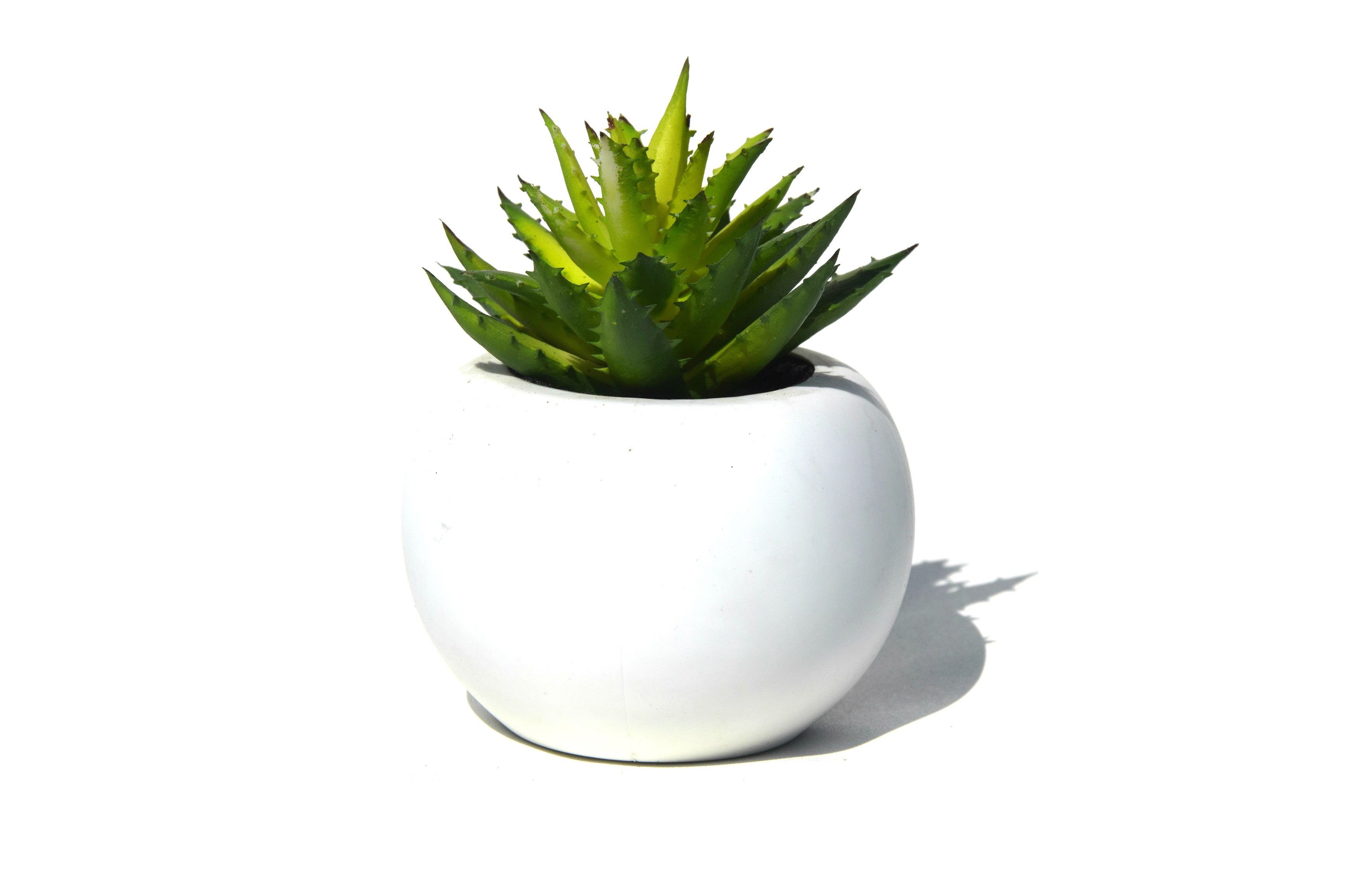 ALOE VERA ARTIFICIAL PLANT IM Hardware