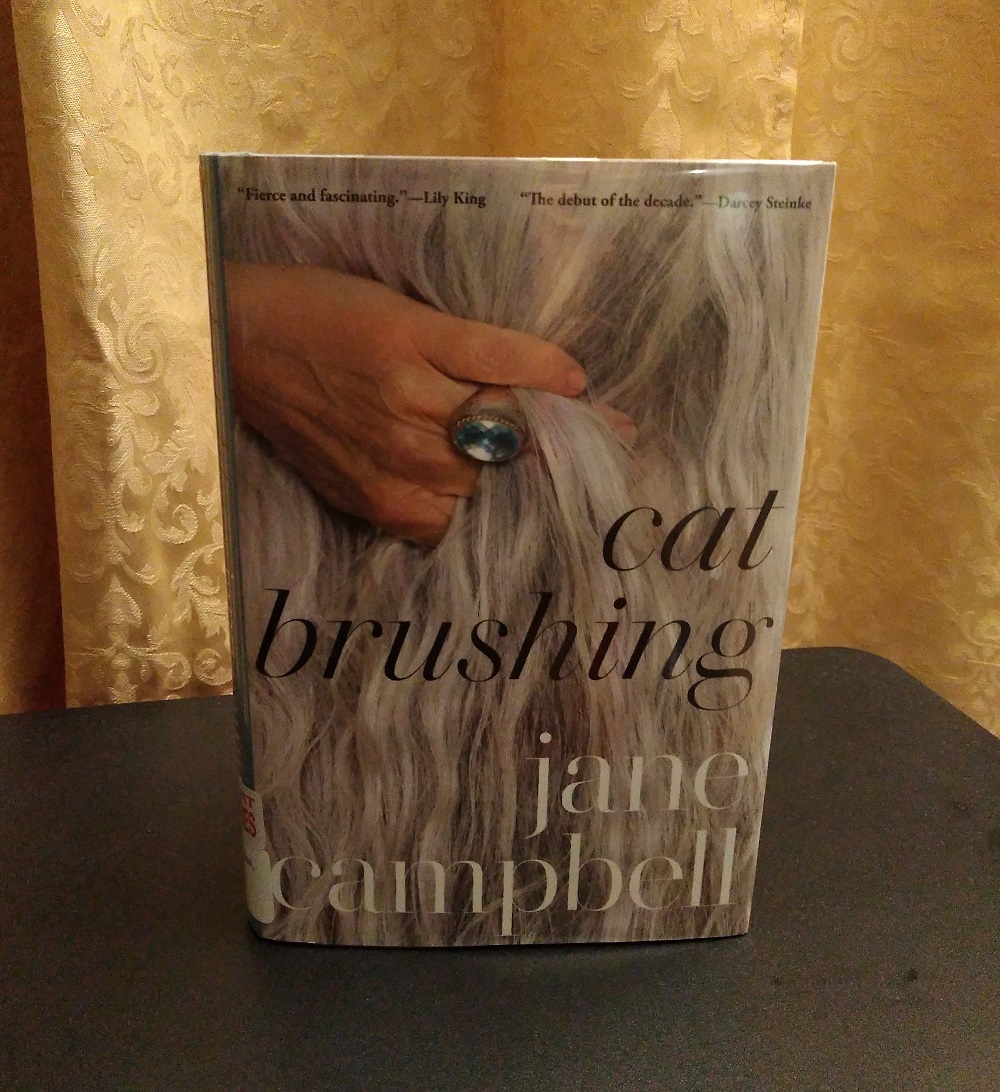 “Cat Brushing” I might be pedantic