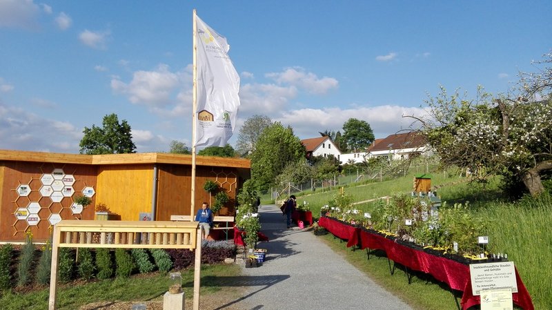 Was blüht, wenn nichts mehr blüht? Bienenzuchtverein HohenloheÖhringen