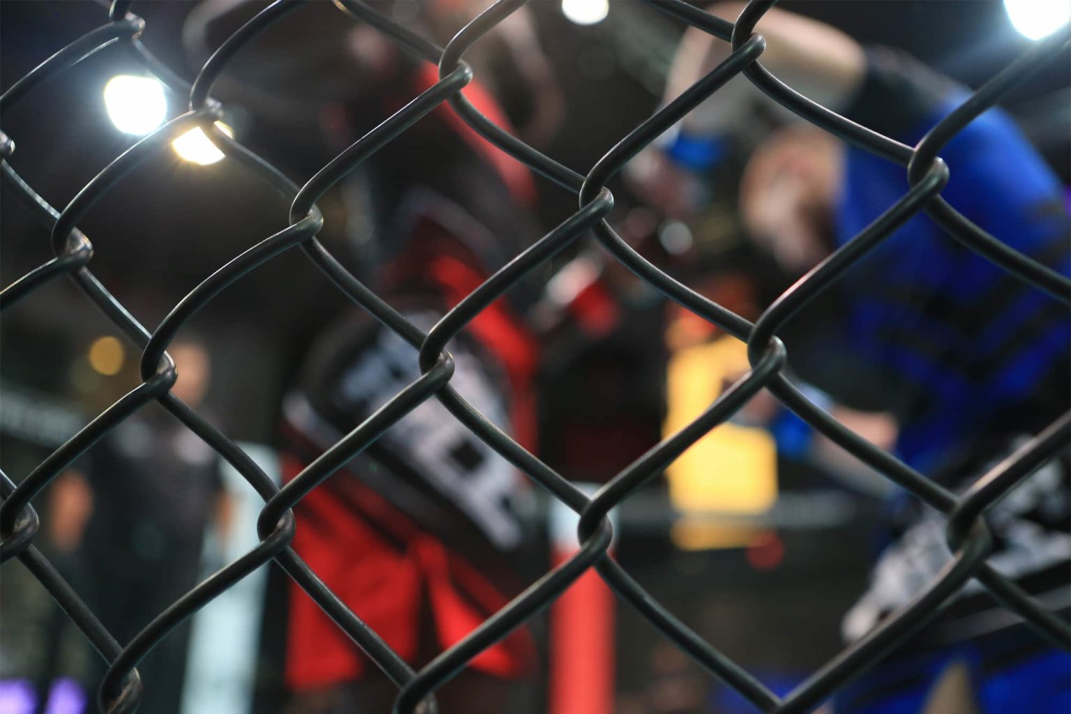 IMMAF Junior National Team Rankings 2018 Review « Xtreme Kickboxing