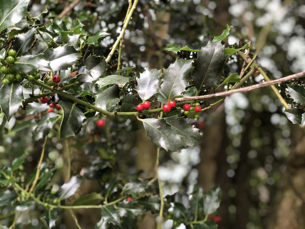 Immanuel Lutheran Church Everson, Washington