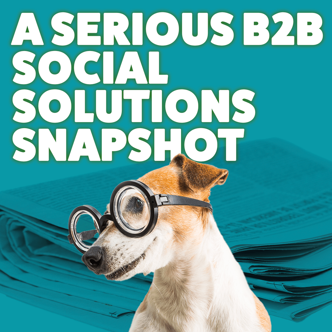 A serious B2B social solutions snapshot Immediate Future