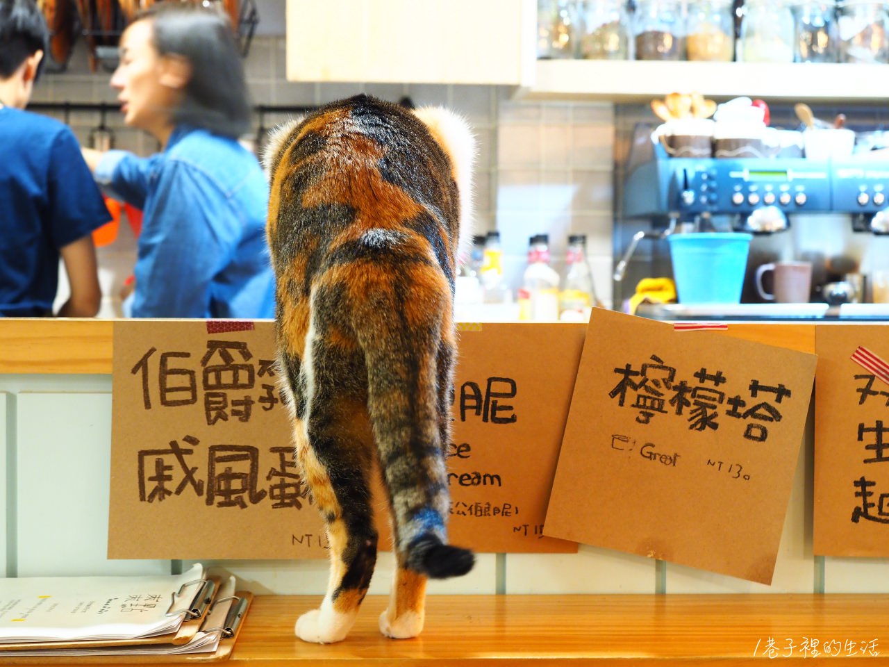 棗點咖啡，大直站，環境舒適、有貓貓的安靜咖啡廳