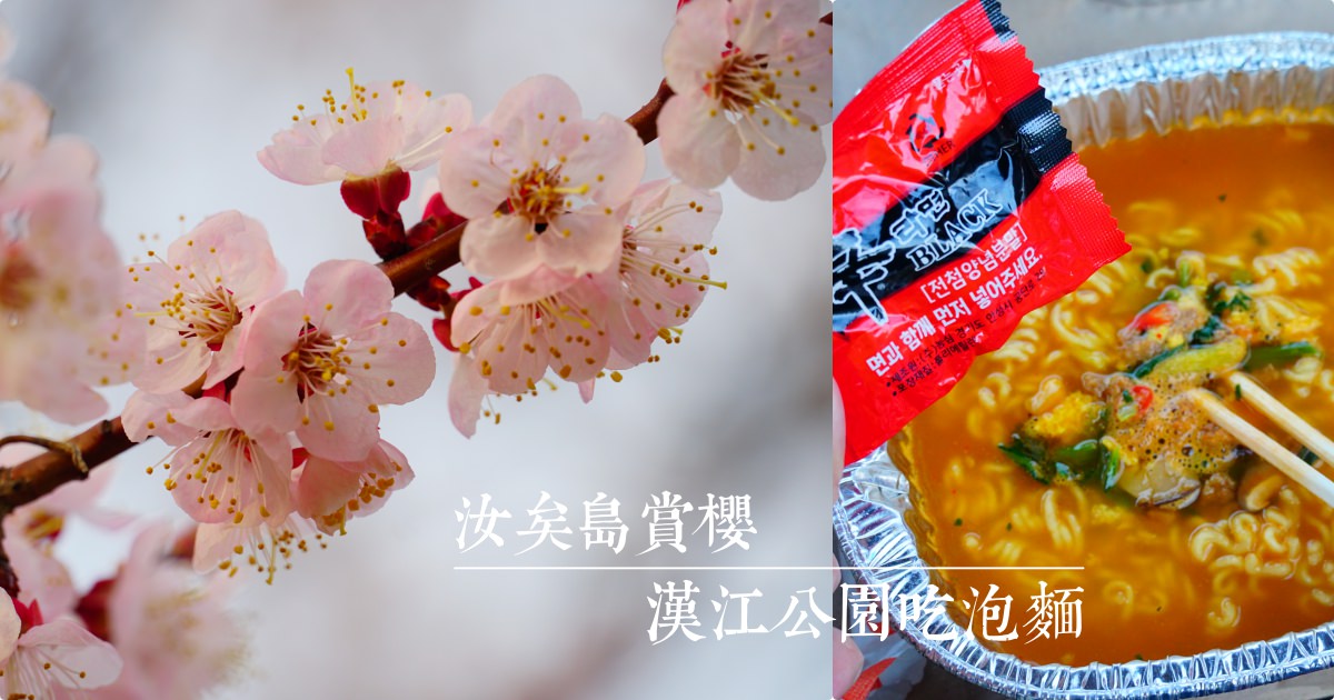 【首爾半日遊】汝矣島公園賞櫻 + 漢江公園散步吃泡麵、看夜景