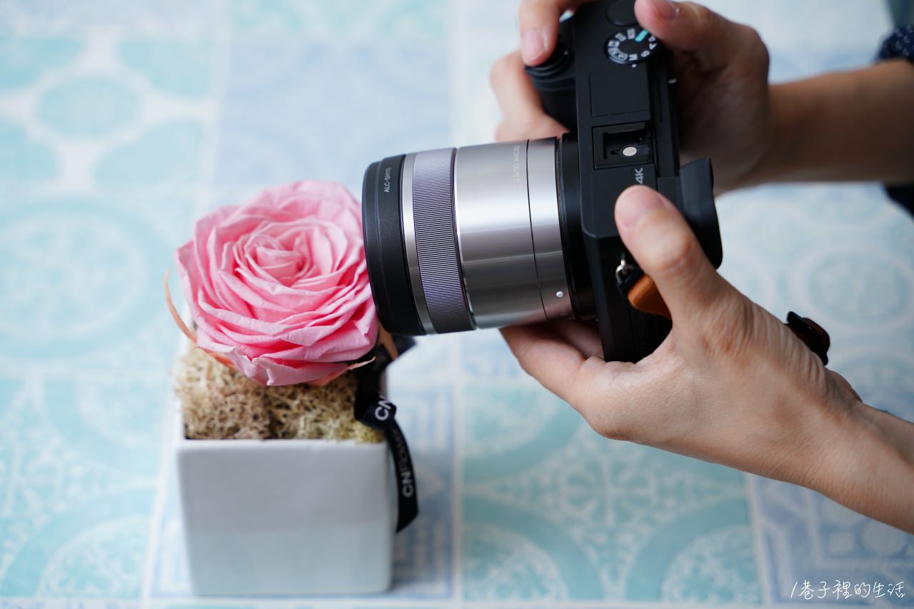 口袋裡的大世界，Sony E 30mm F3.5 Macro 微距鏡