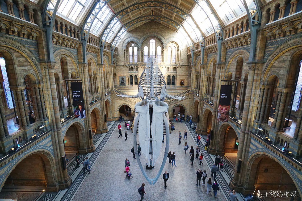 【倫敦景點】自然史博物館，超大恐龍、長毛象標本，光是建築本身就很好拍