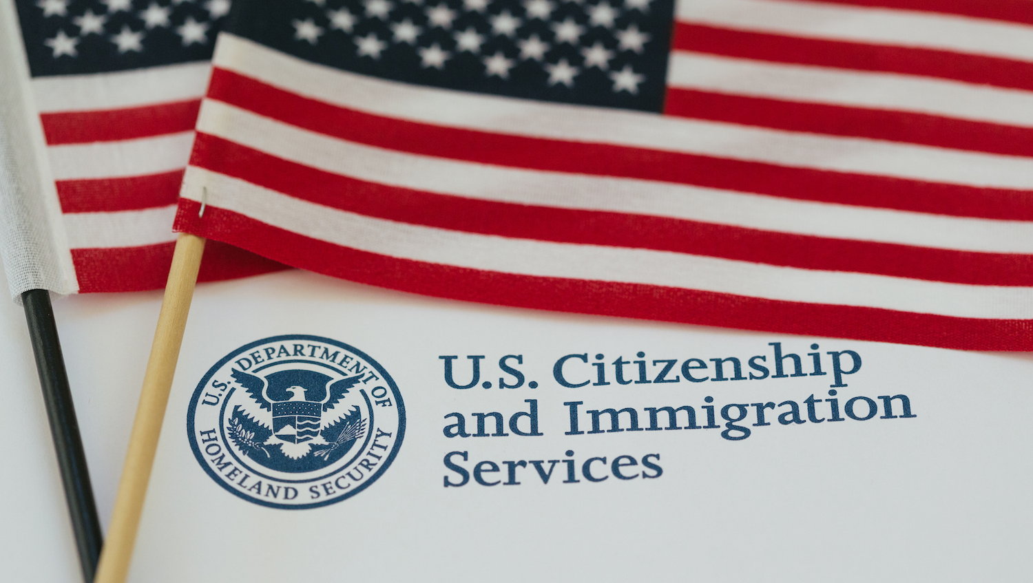Standardizing the fee waiver application increased naturalization rates