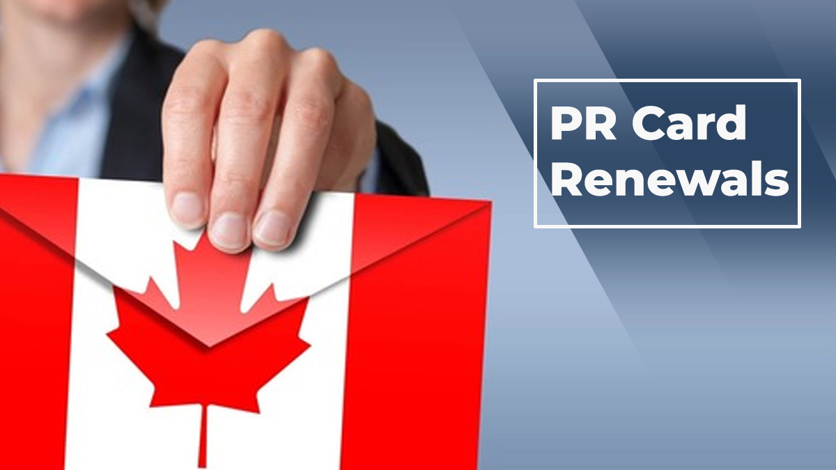 PR Card Expired? Here Is How To Enter Canada!