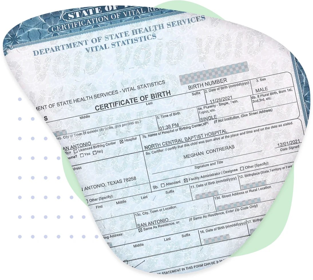 Birth Certificate Translation Services ImmiTranslate