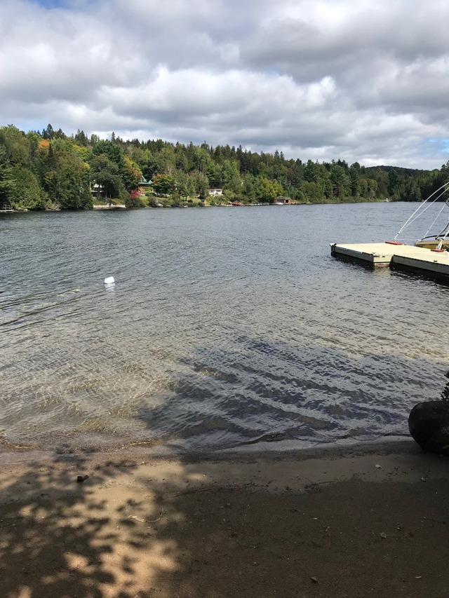 Terrain vacant à vendre Ch. des PrésVerts SaintAdolphed'Howard