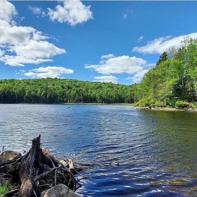 Terrain vacant à vendre Ch. du LacNoiret WentworthNord