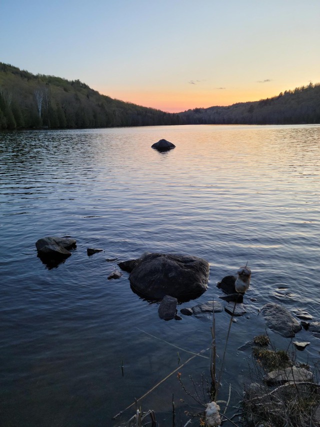 Terrain vacant à vendre Rue de la Cédrière MorinHeights