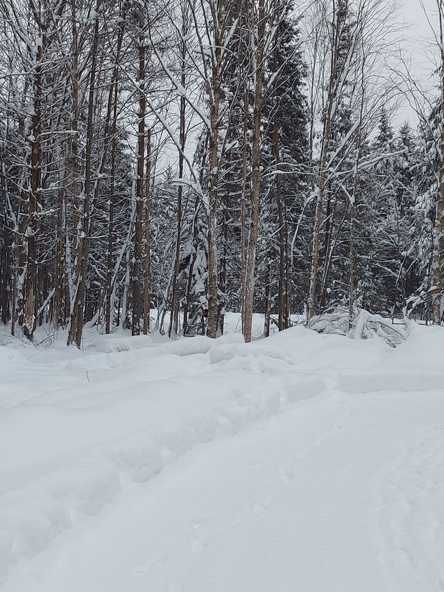 Terrain vacant à vendre Ch. des Galets SaintAdolphed'Howard