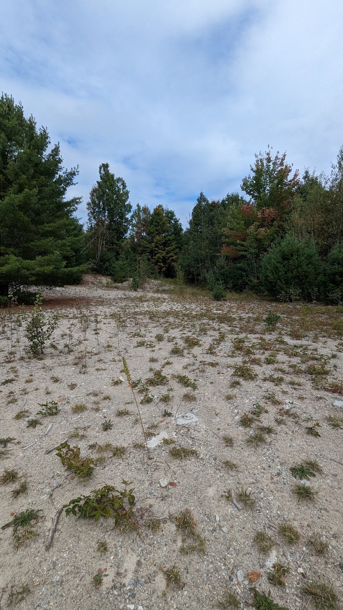 Terrain vacant à vendre Ch. Johanne Rawdon