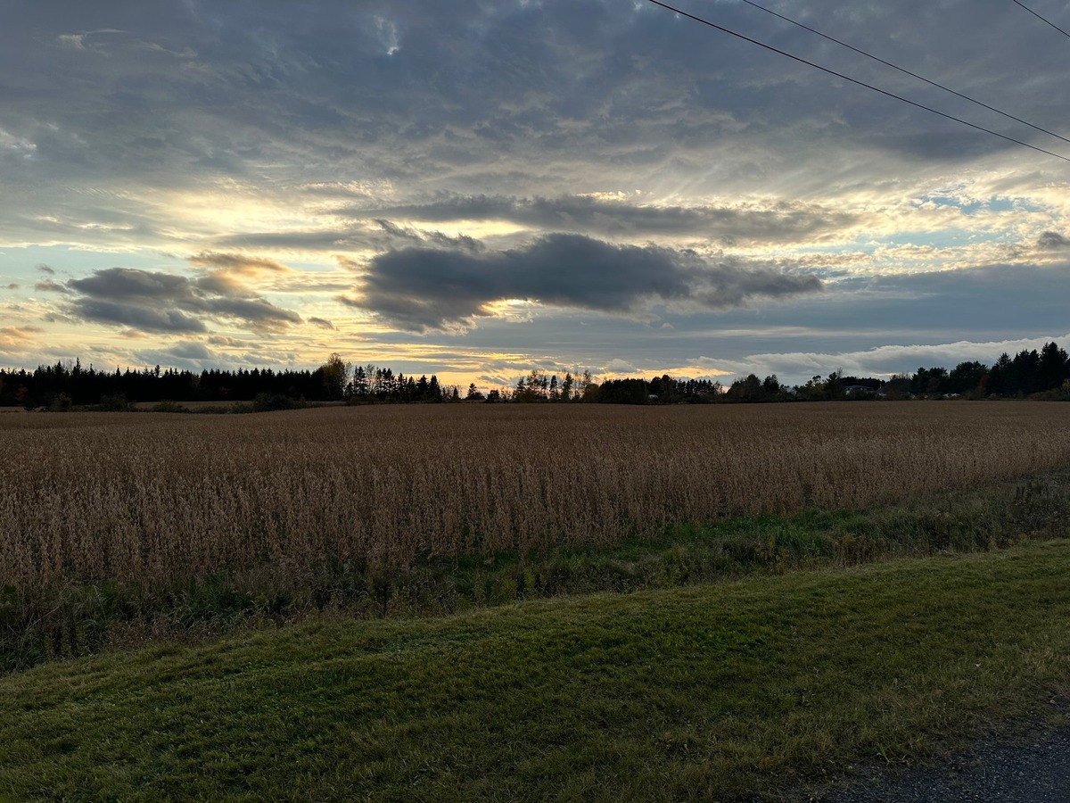 Ferme à vendre 568Z Rue Principale SaintCamilledeLellis