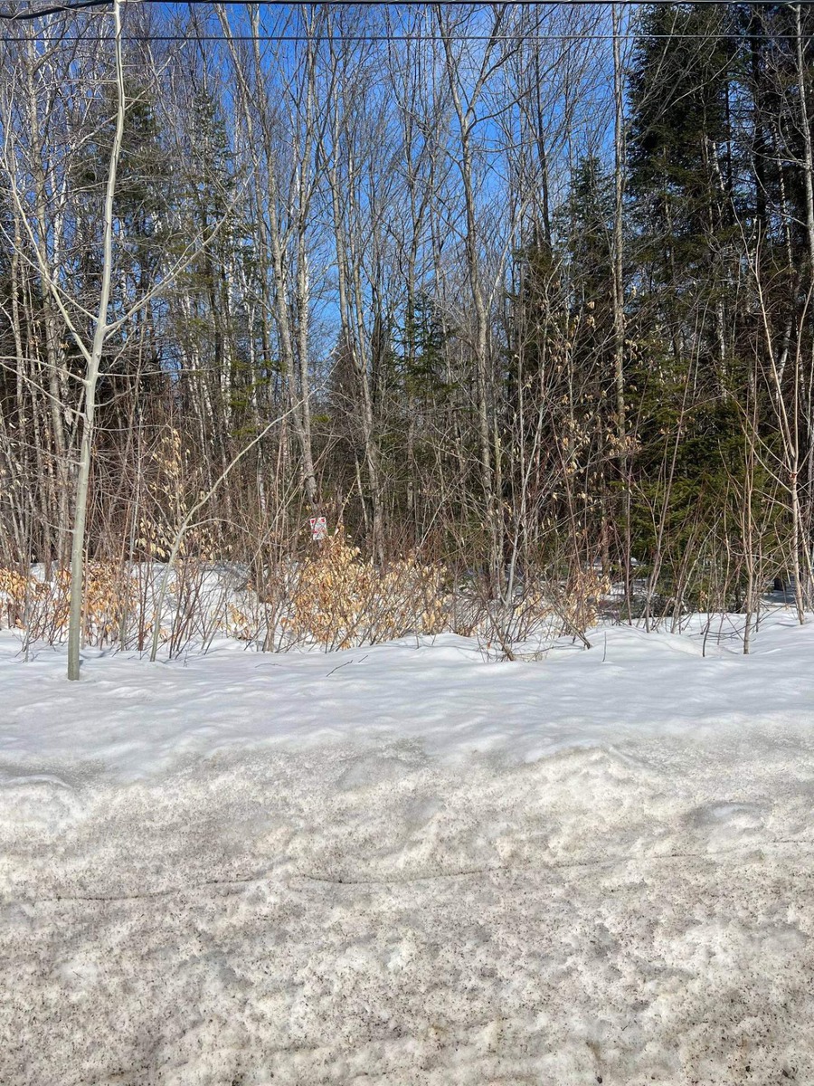 Terrain vacant à vendre Ch. du MontdeLanaudière SaintGabrielde