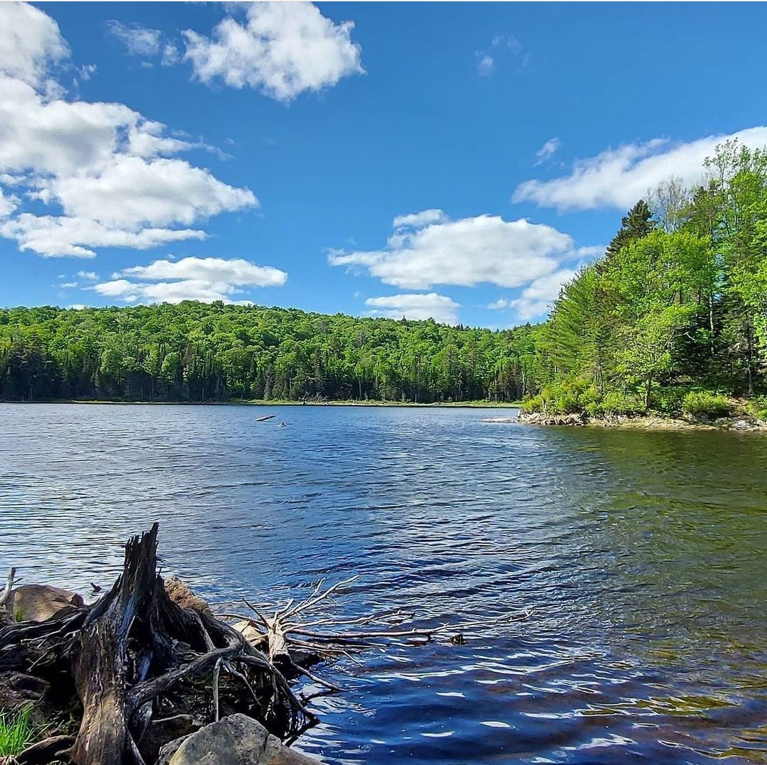 Vacant lot for sale Ch. du LacPelletier WentworthNord