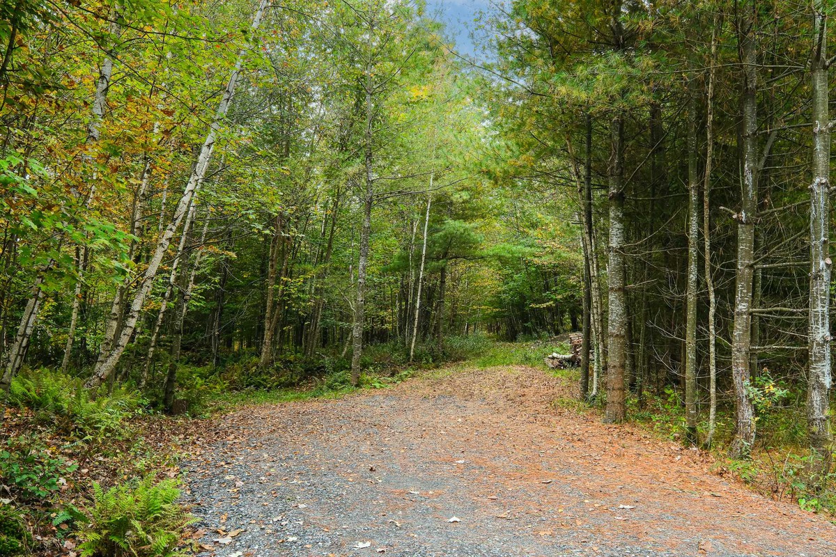 Terrain vacant à vendre Rue des Muguets SainteCatherinedeHatley