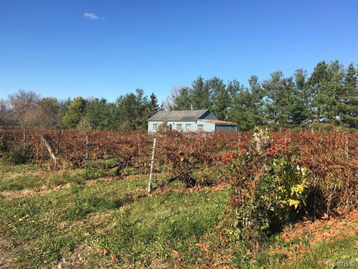 Ferme à vendre 1150 Ch. des Patriotes SaintDenissurRichelieu