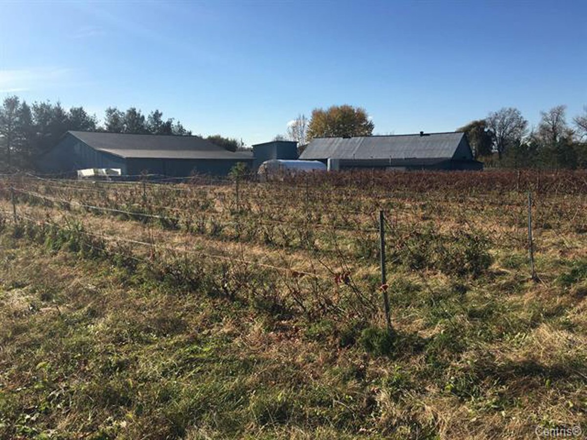 Terrain vacant à vendre 1150Z Ch. des Patriotes SaintDenissurRichelieu