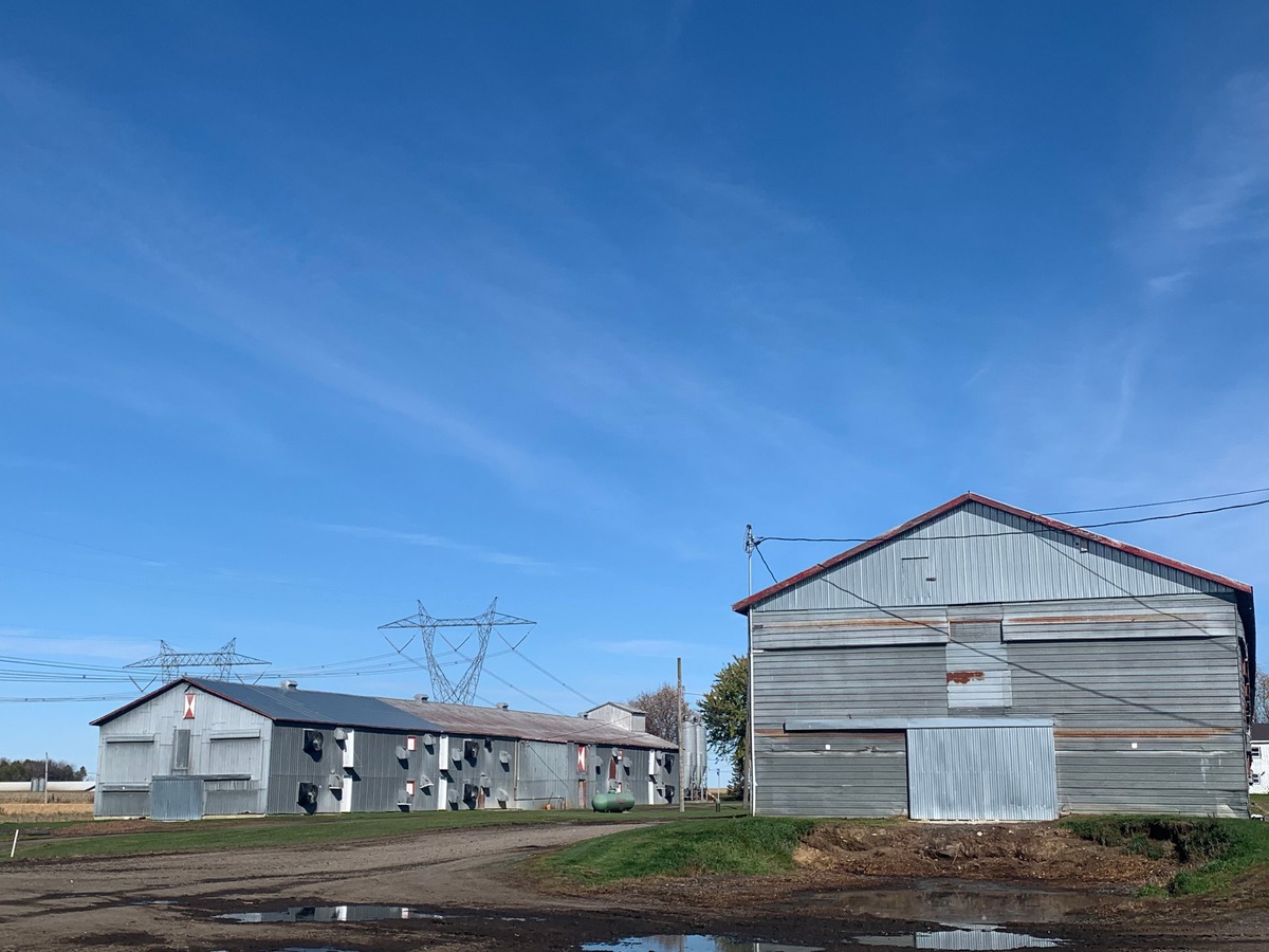 Terrain vacant à vendre 10e Rang SaintGermaindeGrantham