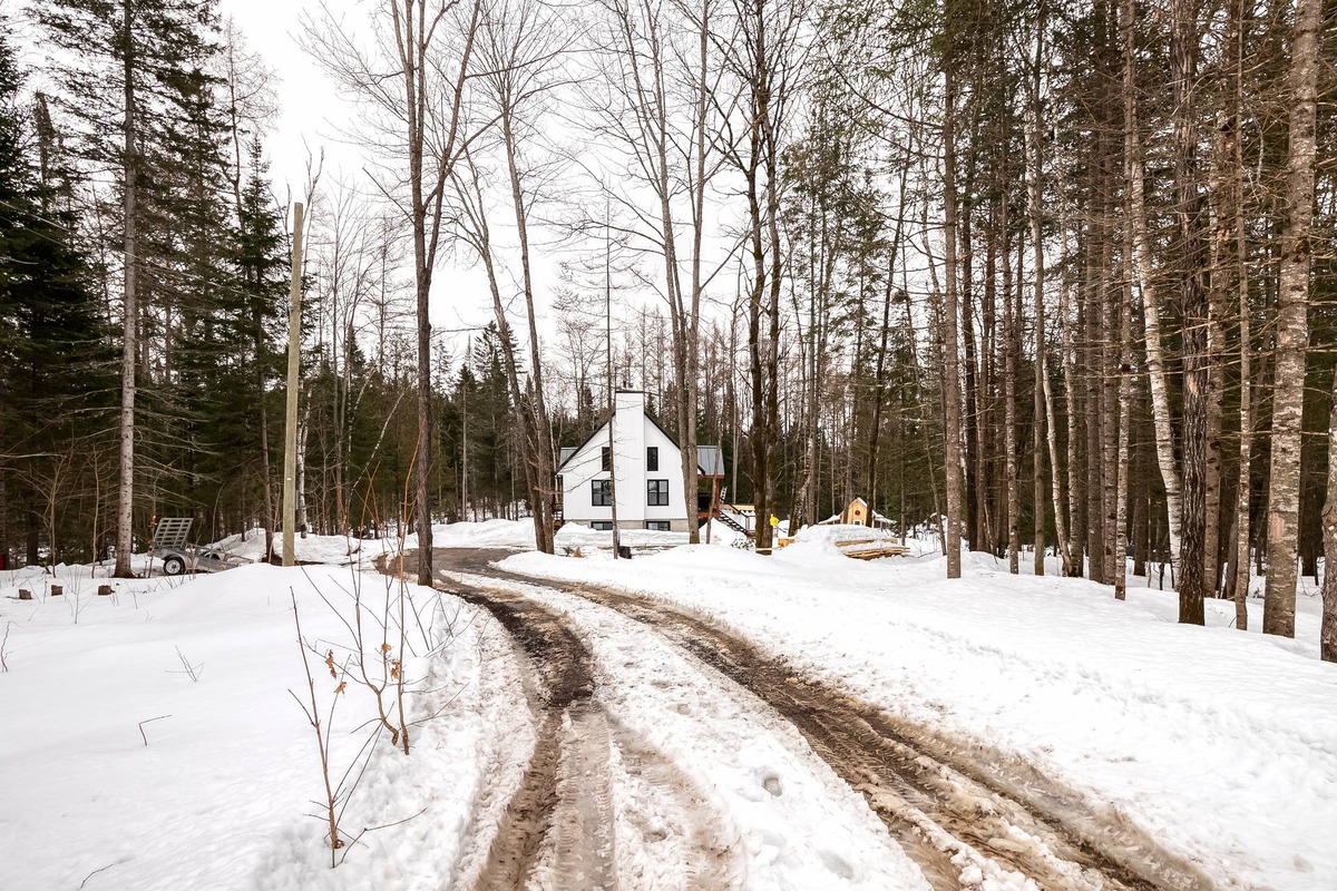 Maison à un étage et demi à vendre 1075 Ch. de la LigneBelleMontagne