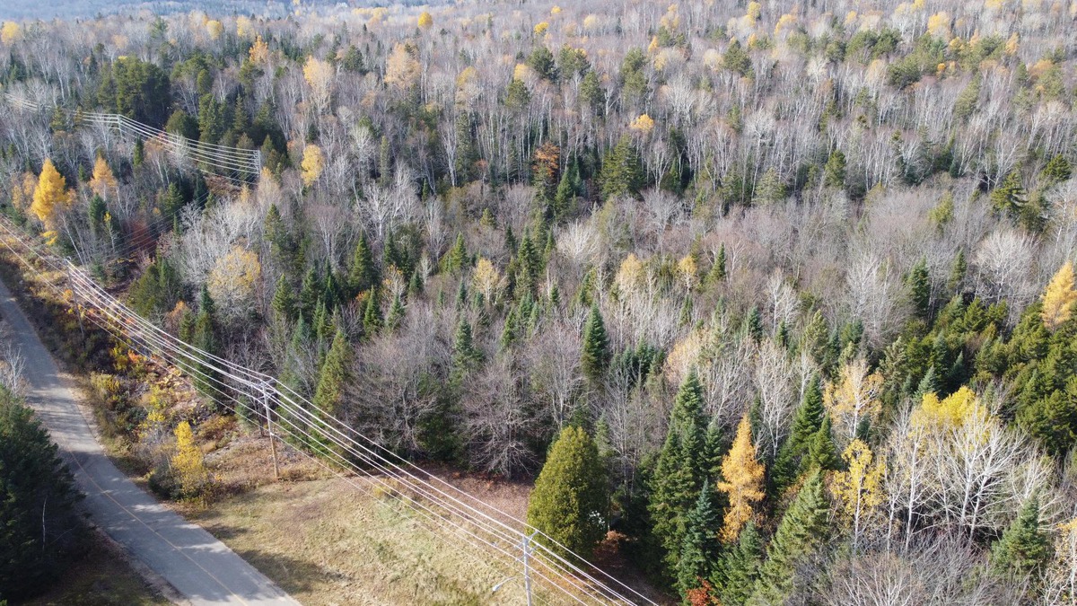 Terrain vacant à vendre Ch. des Boutonsd'Or SainteÉméliedel'Énergie