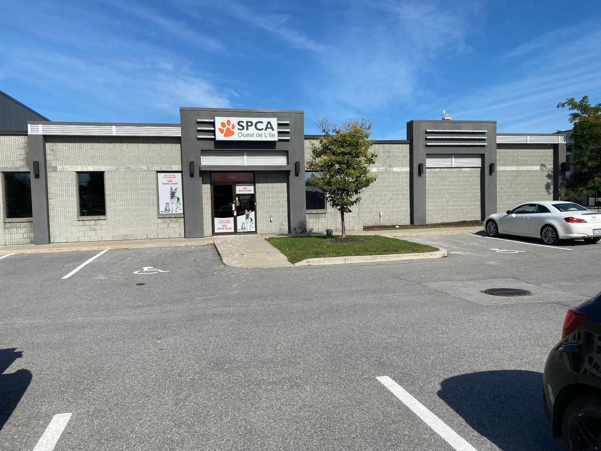 Industrial building for rent 3658 Boul. de la CitédesJeunes