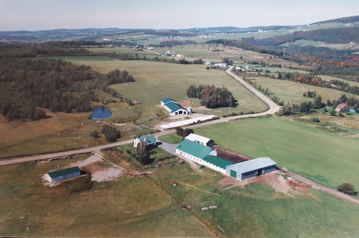 Ferme à vendre 7635 Rg Hince SaintRémideTingwick