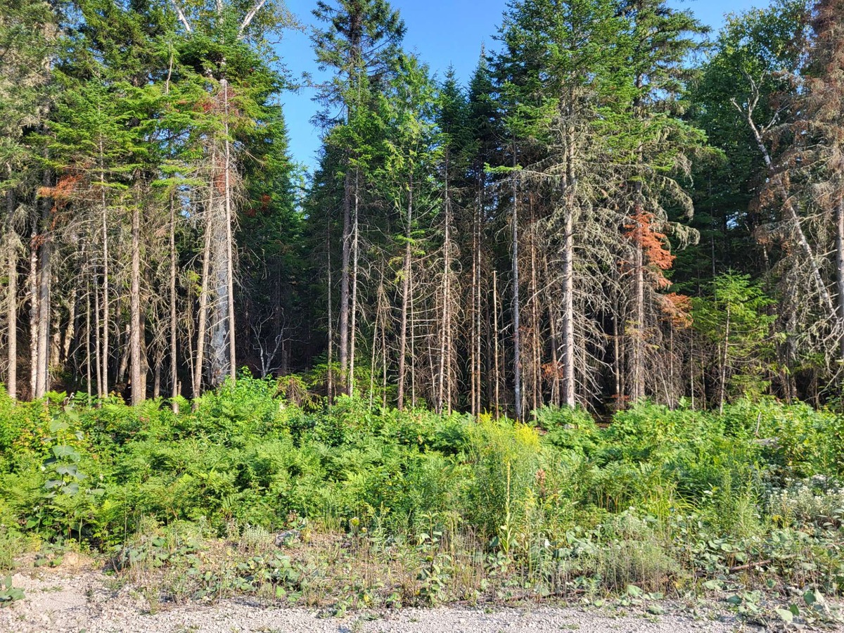 Vacant lot for sale Rue Non DisponibleUnavailable SaintCôme