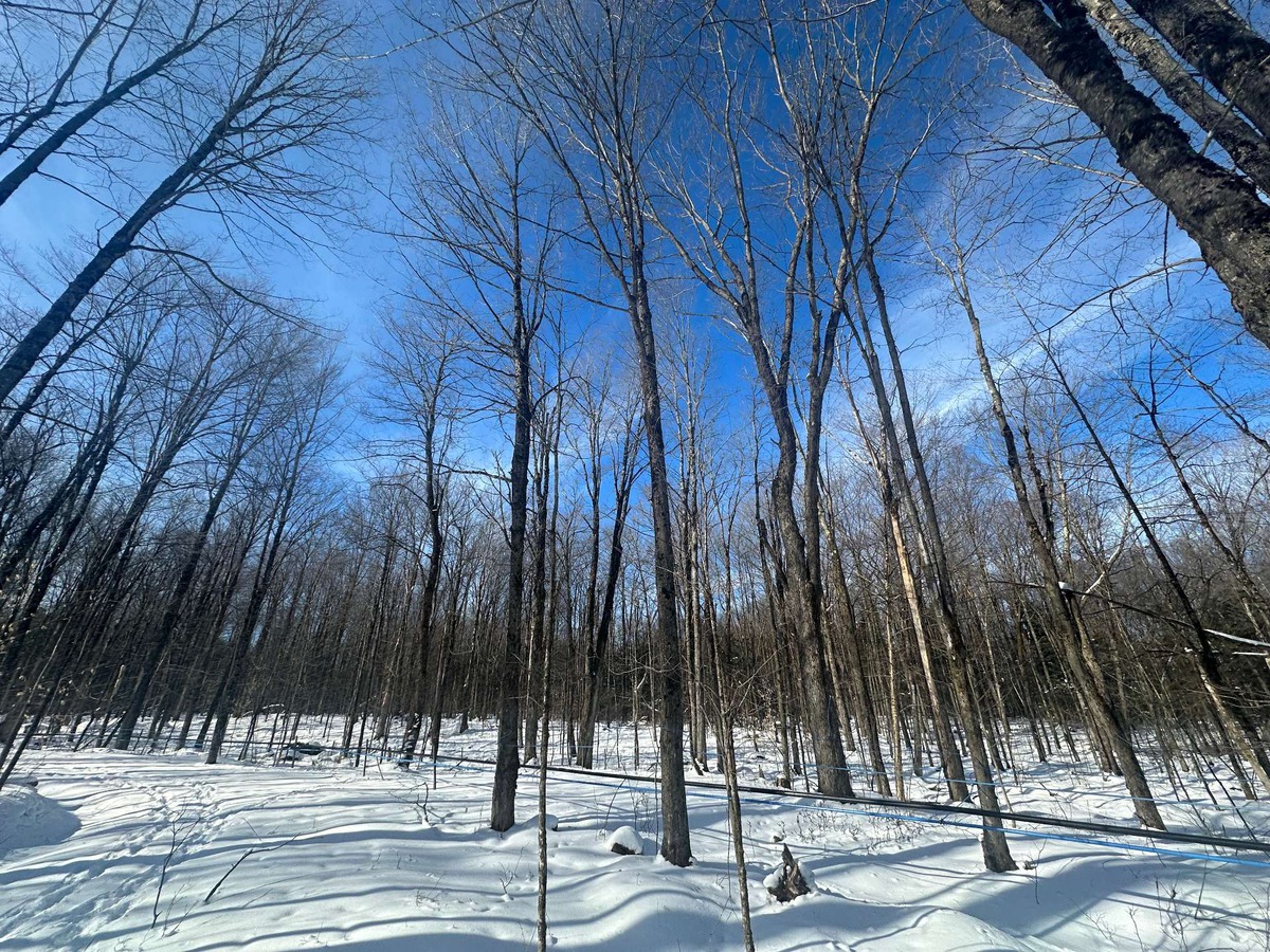 Vacant lot for sale 328 2e Rang E. SaintJoachimdeShefford