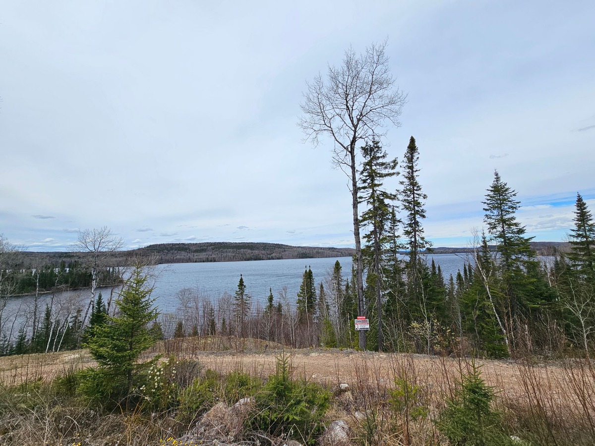 Terrain vacant à vendre Lac des Commissaires LacBouchette