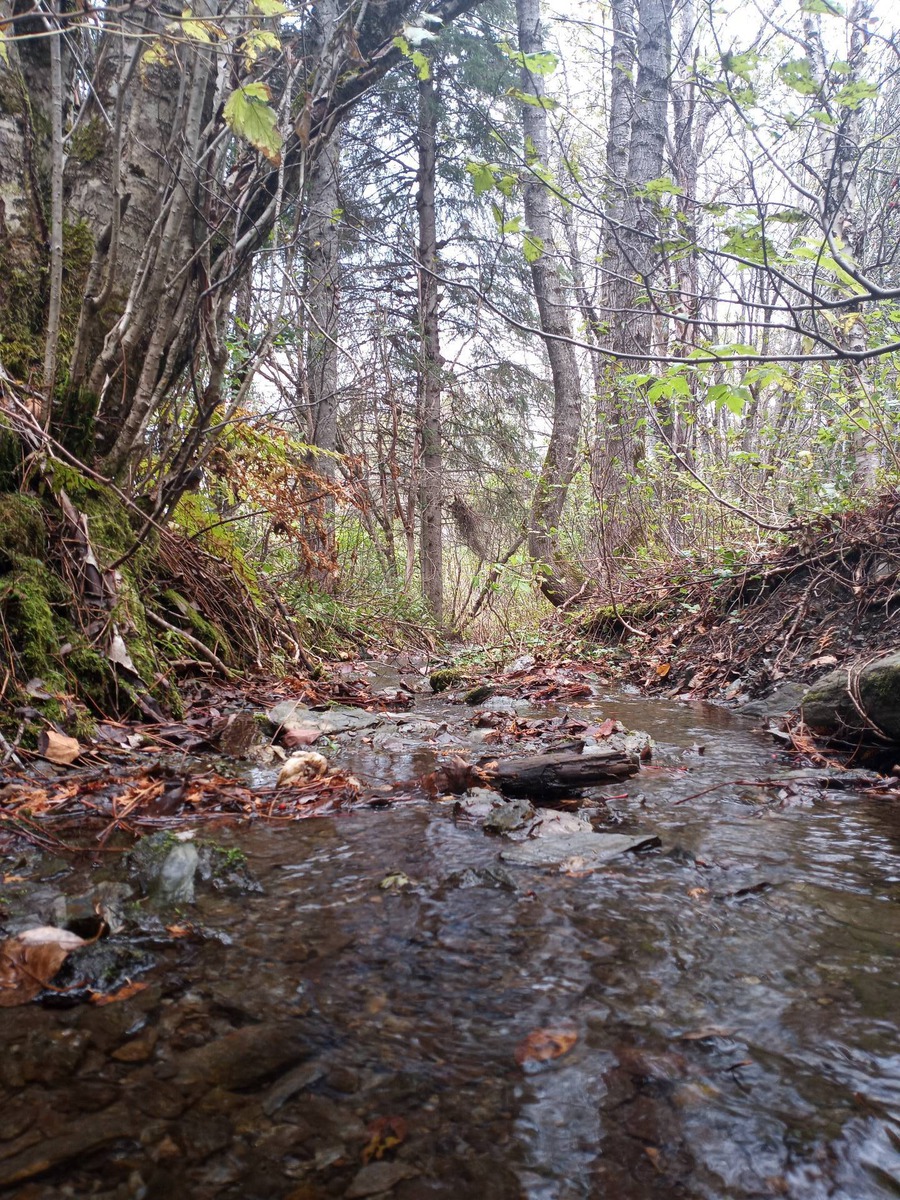 Terrain vacant à vendre 398 16e Rue SaintPauldeMontminy