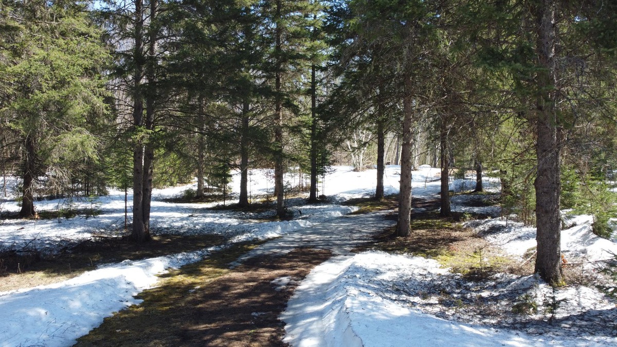 Vacant lot for sale Ch. du TourduLac LacdesPlages