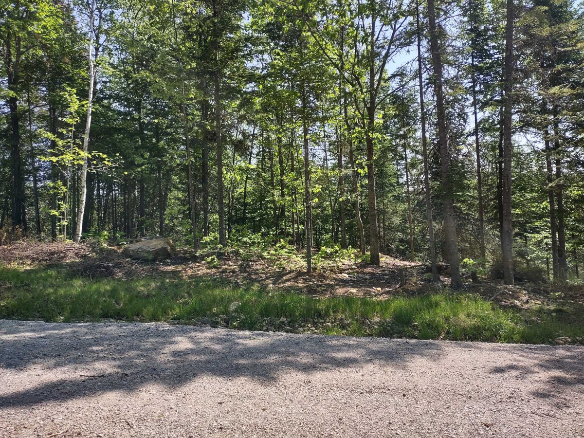 Vacant lot for sale Rg SteAgathe SainteBéatrix